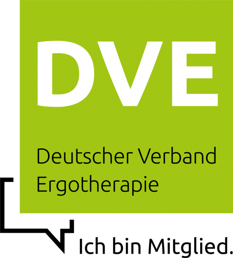 logo_dve